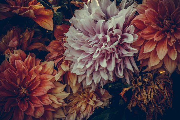 Services de toiture à lanaudière : installation et entretien fiables