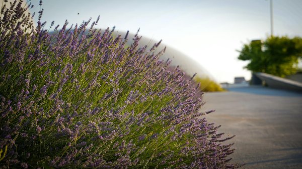 Top choix pour l'installation et l'entretien de toitures à lanaudière