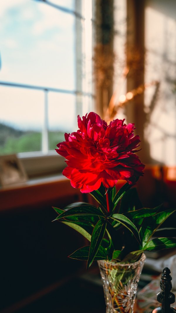 Vases en cristal moderne : élégance et légèreté pour votre déco