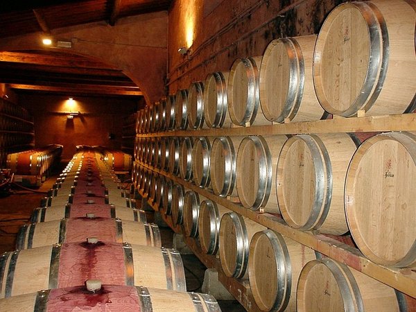 Idées innovantes pour aménager votre cave à vin sur mesure